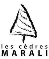 Les cèdres Marali